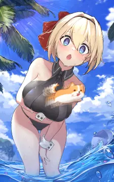 预览
