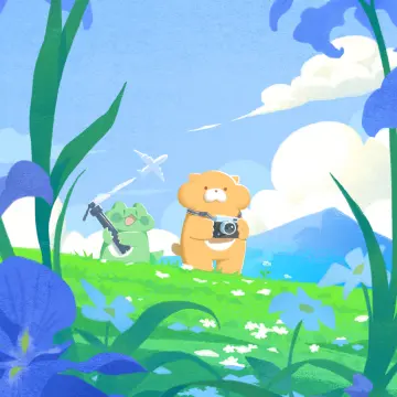预览