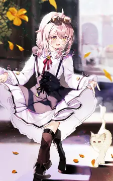 预览