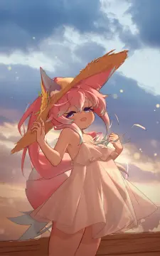 预览