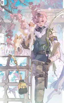 预览