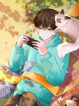 预览