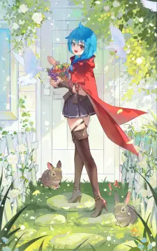 预览