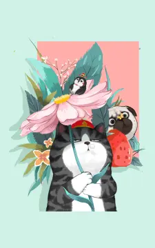 预览