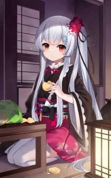 预览
