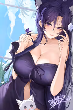 预览