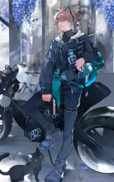 预览