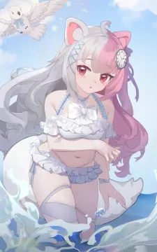 预览