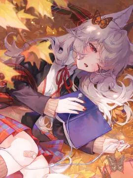 预览