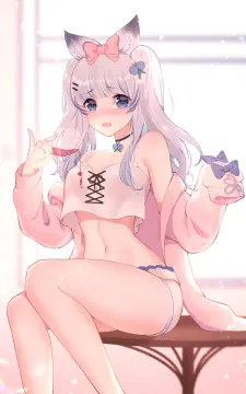 预览
