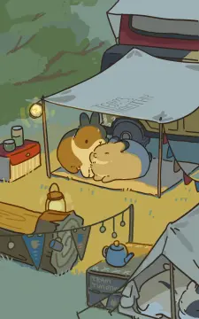 预览