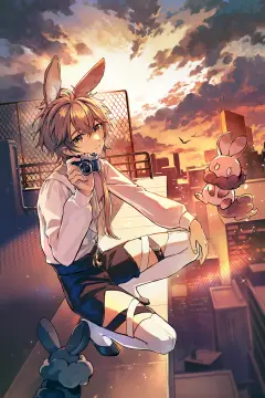 预览