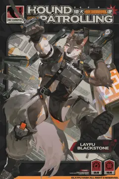 预览