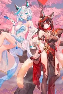 预览
