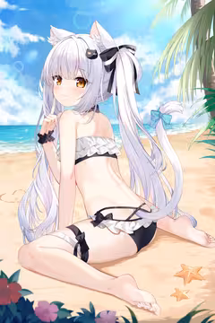 预览