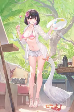 预览