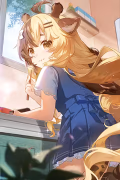 预览