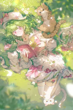 预览