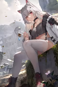 预览