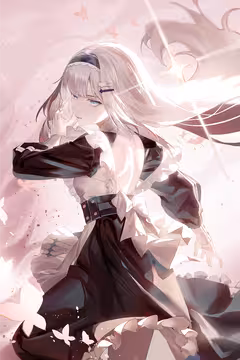 预览