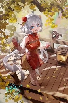 预览