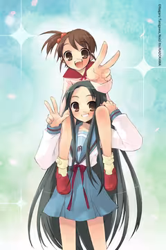 预览