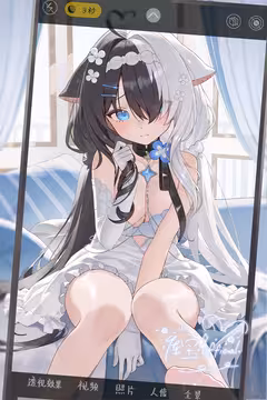 预览