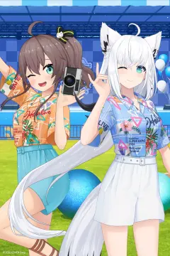 预览