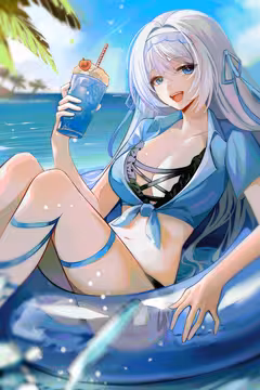 预览