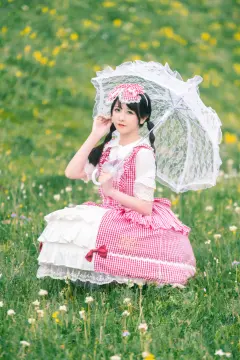 预览