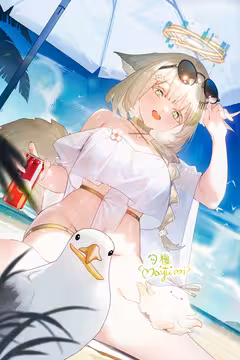 预览