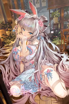 预览