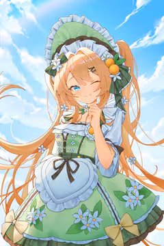 预览