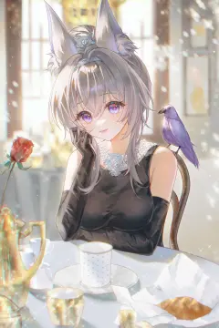 预览