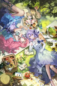 预览