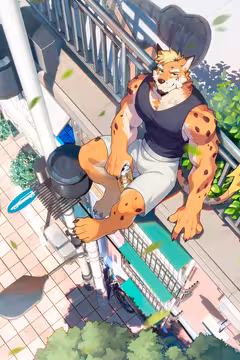 预览