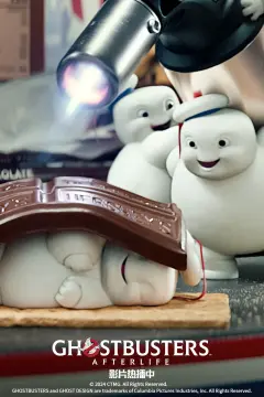 预览