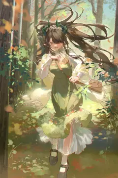 预览
