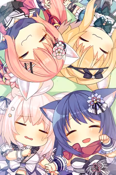 预览