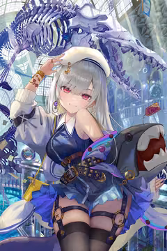 预览