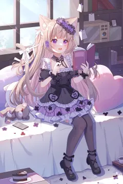 预览