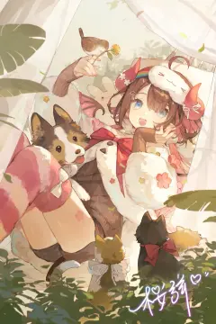 预览