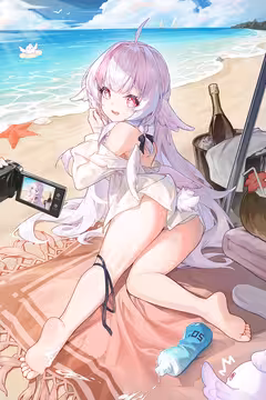 预览