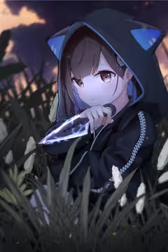 预览
