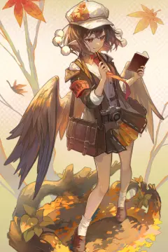 预览