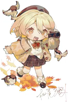 预览