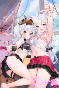 预览