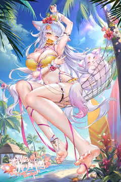 预览