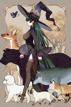 预览