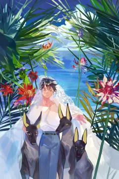 预览